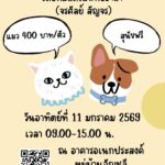 เขตเทศบาลนครนนทบุรี เชิญชวนทำหมันสุนัขฟรี